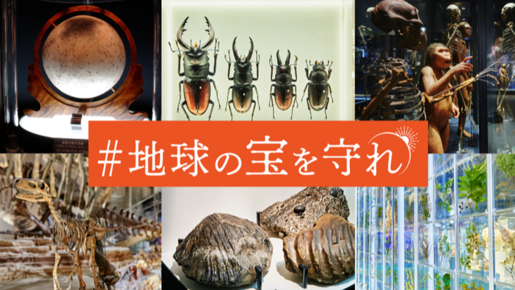 回饋品太豪華？日本國立科學博物館發起群眾募資半天就募得一億元！