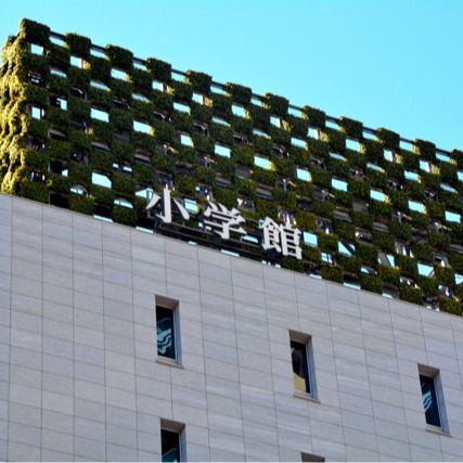 日出版社為性侵犯漫畫家付封口費並換筆名開新聯載？小學館離譜行性遭日網全面炎上