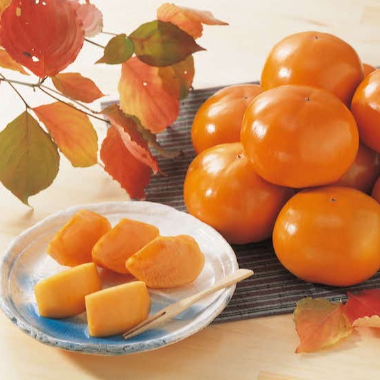 2022年秋季來鳥取縣賞紅葉吃柿子!認識甜柿之王「富有柿」絕品美味