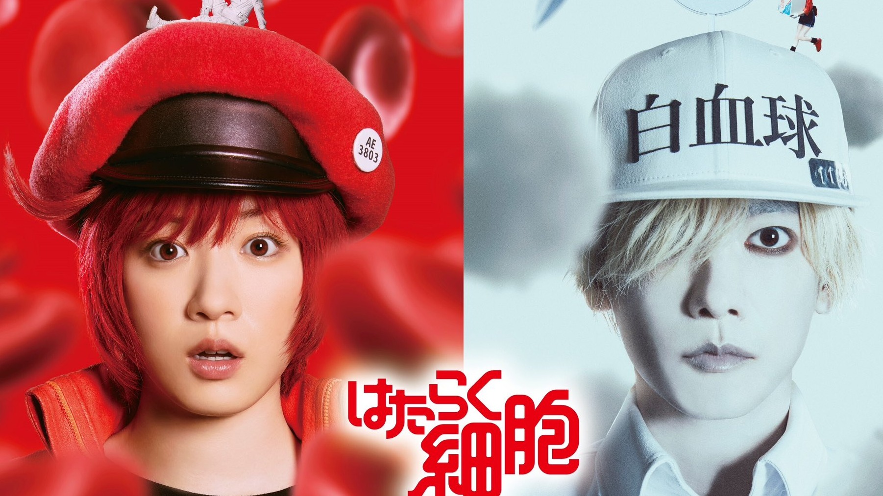 工作細胞真人版？永野芽郁與佐藤健分別飾演白血球與紅血球！帶你回顧作品角色魅力