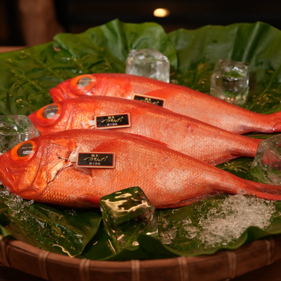 「千葉縣海鮮盛宴」在台登場！如何在台北吃到千葉縣夢幻美味「銚子一本釣金目鯛」？就看這篇！