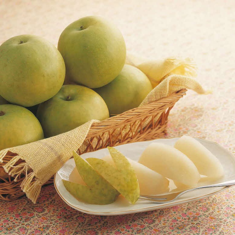 2022年鳥取縣女子旅必去必吃景點、美食懶人包！夢幻水梨「新甘泉梨＆二十世紀梨」超垂涎