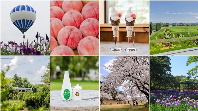 福島會津若松順遊推薦景點！車程1小時抵達的療癒牧場小鎮「鏡石町」