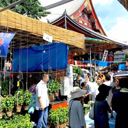 日本夏季淺草必體驗的什麼是四萬六千日?來淺草寺逛鬼燈市集齊做功德吧!