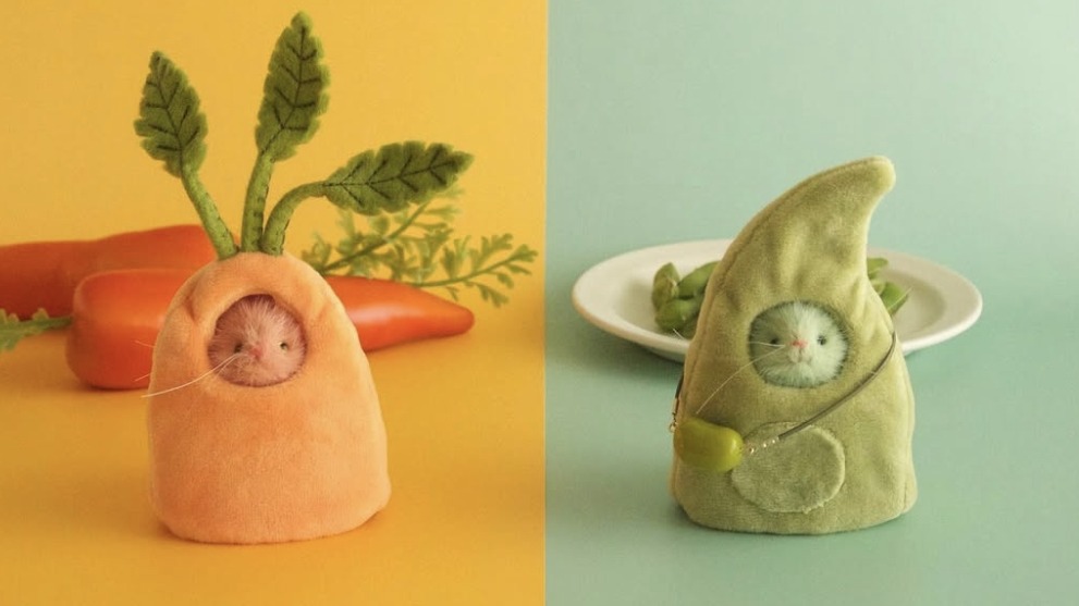 扮裝老鼠百變登場，來自日本玩偶職人「MISUMI YURI」所帶來的趣味療癒作品