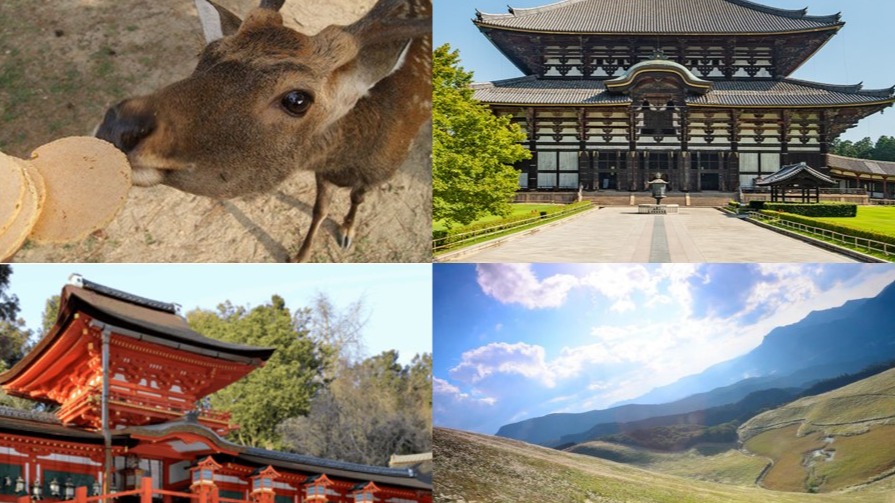 奈良必去景點10選！神社佛寺×絕景山林×可愛小鹿，感受古都最療癒的風景