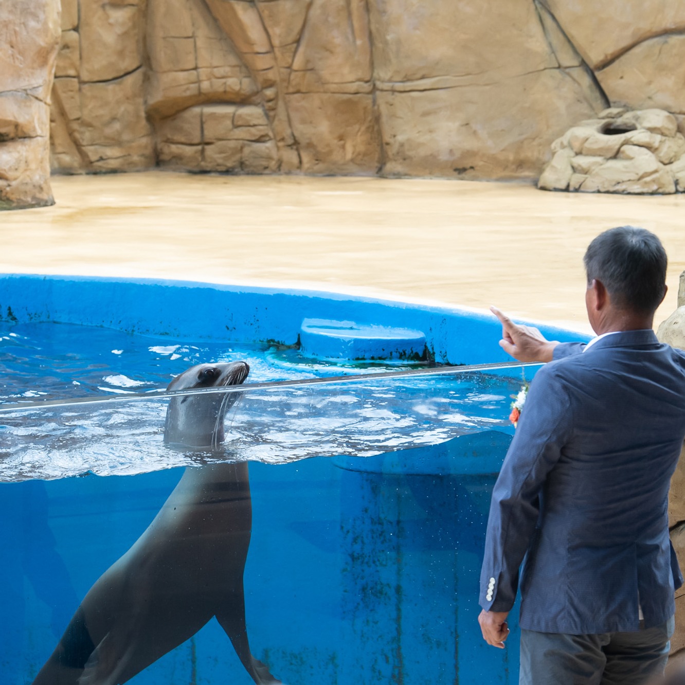 歡慶Xpark在台開業3周年，母公司日本西武集團來台同樂