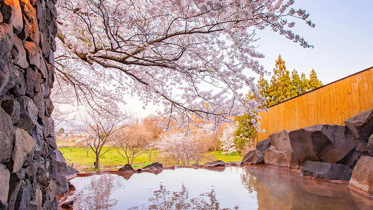 2026年櫻花×露天溫泉推薦住宿 TOP 10！一邊泡湯一邊賞櫻超浪漫