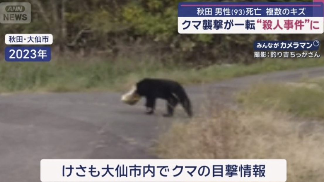 兇手從黑熊變成了親生兒子？日本秋田縣93歲老翁死亡案結果大逆轉