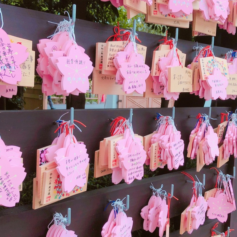 2022年春天限定！櫻花御守、櫻花神社蒐羅！讓浪漫粉色浪潮融進心願裡