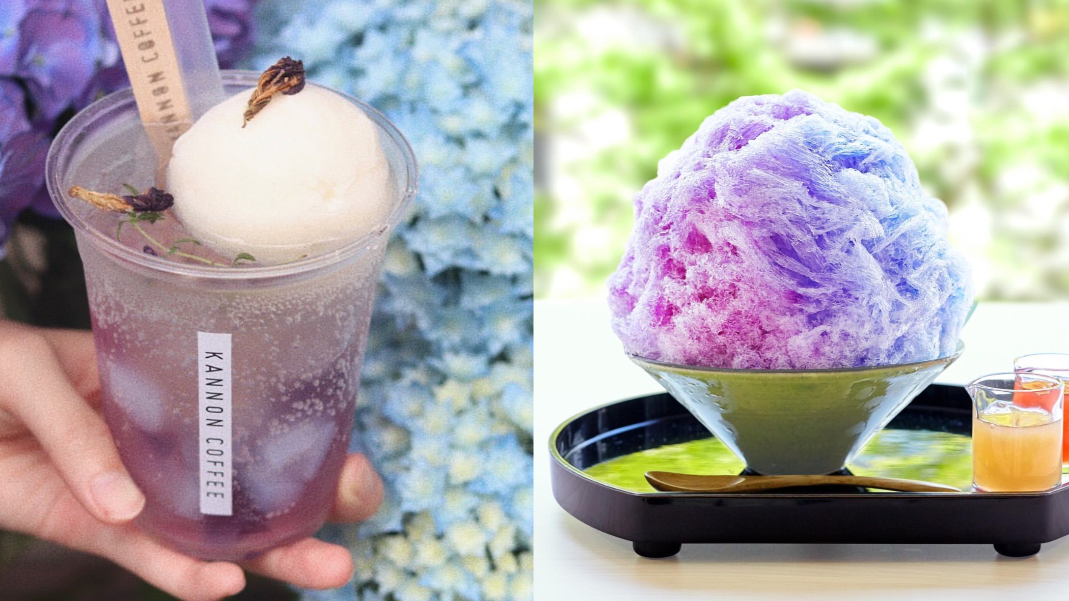 鎌倉繡球花散策之旅，季節限定紫陽花甜點5選