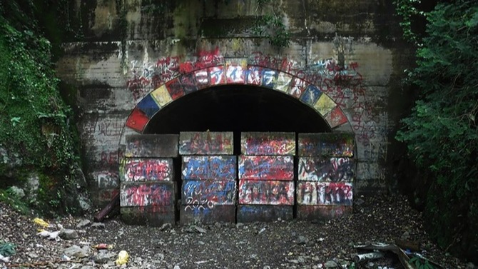 「犬鳴村」的原型！進入村落的沒人能活著出來？日本知名靈異地點「犬鳴隧道」