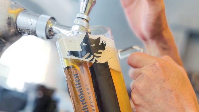 2024橫濱啤酒節「長貓啤酒杯」風靡社群！元祖在地精釀啤酒品牌 Sankt Gallen Brewery 無心插柳引爆話題