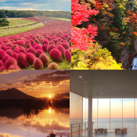 茨城推薦必去景點10選介紹！波波草、能量景點、金色鳥居一次看