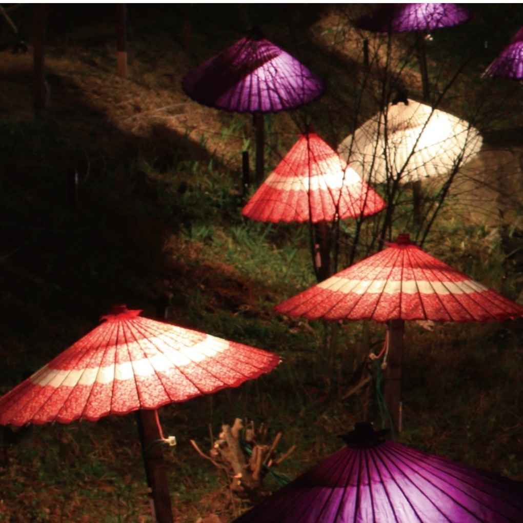 2024年銀座首次舉辦的冬季燈會！「和と光のウィンターフェスタ」呈現特別的和風浪漫燈光秀