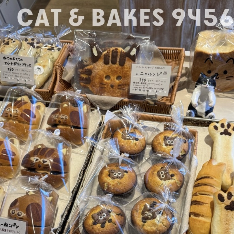 靜岡人氣烘焙店「CAT ＆ BAKES 9456 」，這裡有滿滿的貓貓造型麵包與餅乾