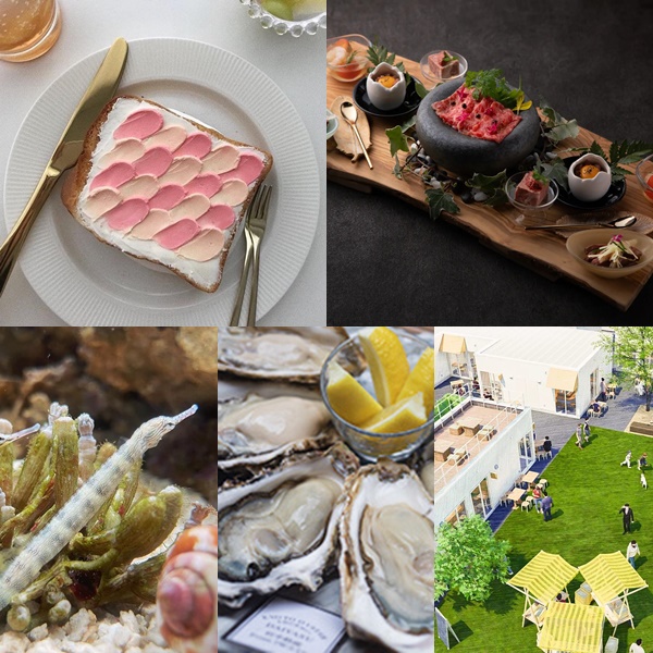 2022年七月日本新開幕推薦店5選!充滿亮點的全新設施與改裝再出發的老舖每間都想去