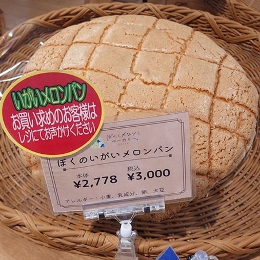 足足有20個菠蘿麵包份量的巨無霸菠蘿麵包，就在茨城休息站「道之驛 常總」