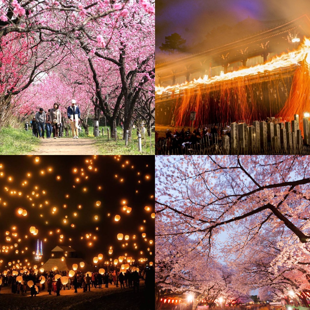 日本3月必去祭典推薦十選！從傳統祈福到百花齊放帶你一次看！