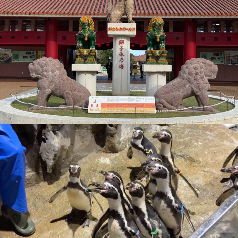 自駕玩沖繩三天兩夜只要兩萬元？好日刻帶你看最划算日本旅遊路線！