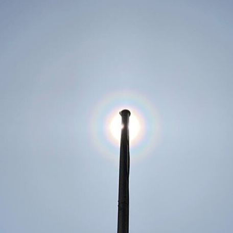 日本關東地區可見「花粉光環」！快樂旅日同時需也要注意花粉症喔