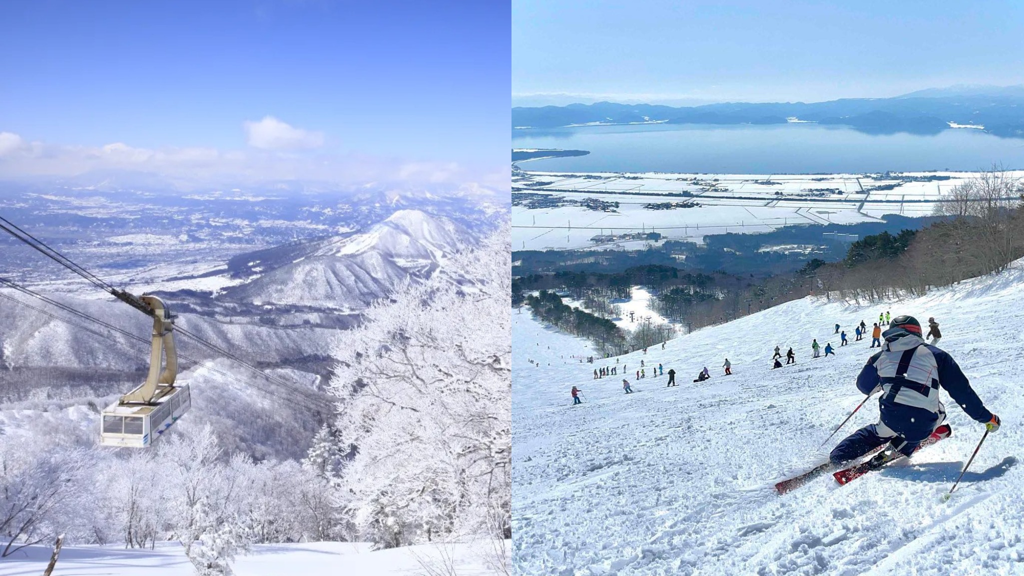 2023雪季正式開始！關東地區滑雪初心者雪場5選