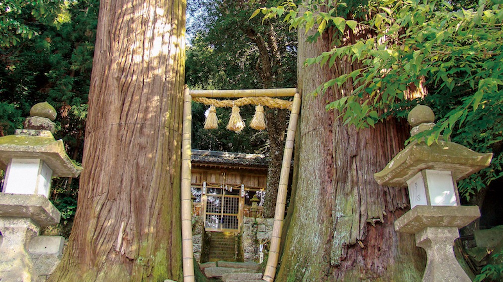 2022年香川縣在地人藏在口袋私房景點推薦！迅速加入解封後必去清單