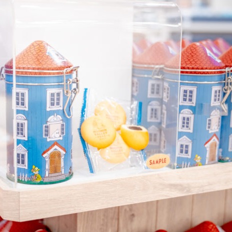 嚕嚕米樂園「MOOMINVALLEY PARK」必買伴手禮五選，園區限定周邊魅力滿滿