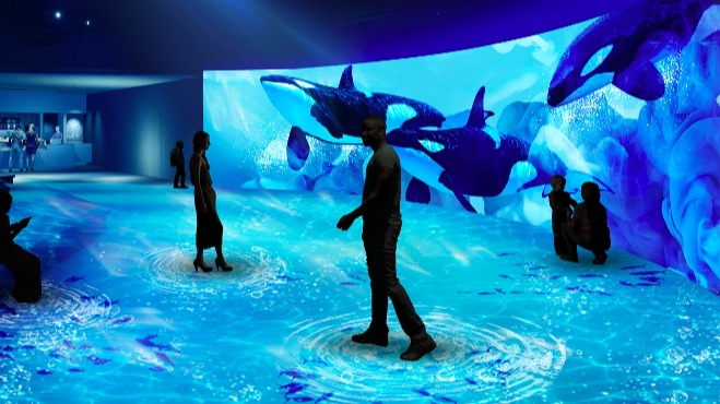 札幌狸小路「AOAO SAPPORO」水族館新開幕！體驗在市區與企鵝互動的療癒氛圍