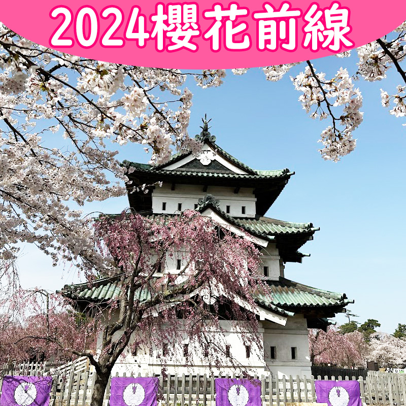 2024櫻前線分析,日本賞櫻攻略就看這一篇!