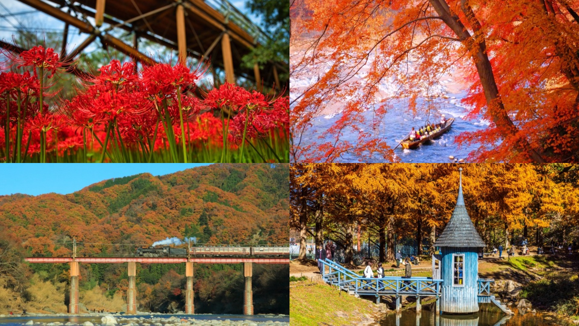 東京近郊首選！埼玉縣5大秋季必訪景點，埼玉縣物產觀光協會邀台人體驗不一樣的深度秋日本之旅