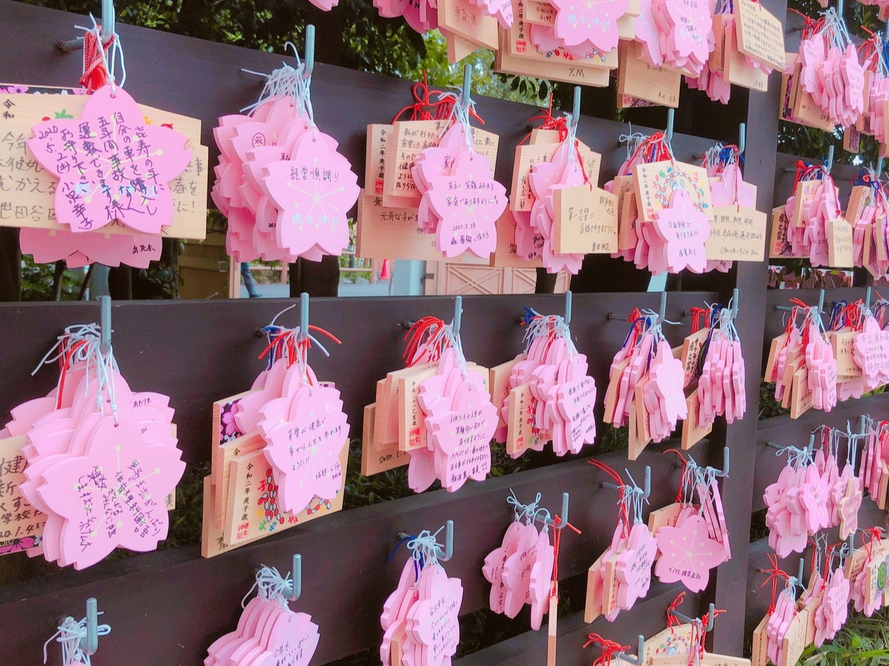 2022年春天限定！櫻花御守、櫻花神社蒐羅！讓浪漫粉色浪潮融進心願裡