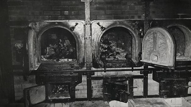 提取人體的腦漿來換錢？驚悚獵奇的「桐生火葬場事件」