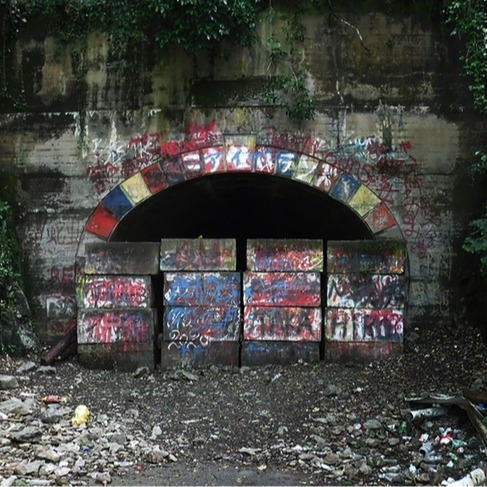 「犬鳴村」的原型！進入村落的沒人能活著出來？日本知名靈異地點「犬鳴隧道」