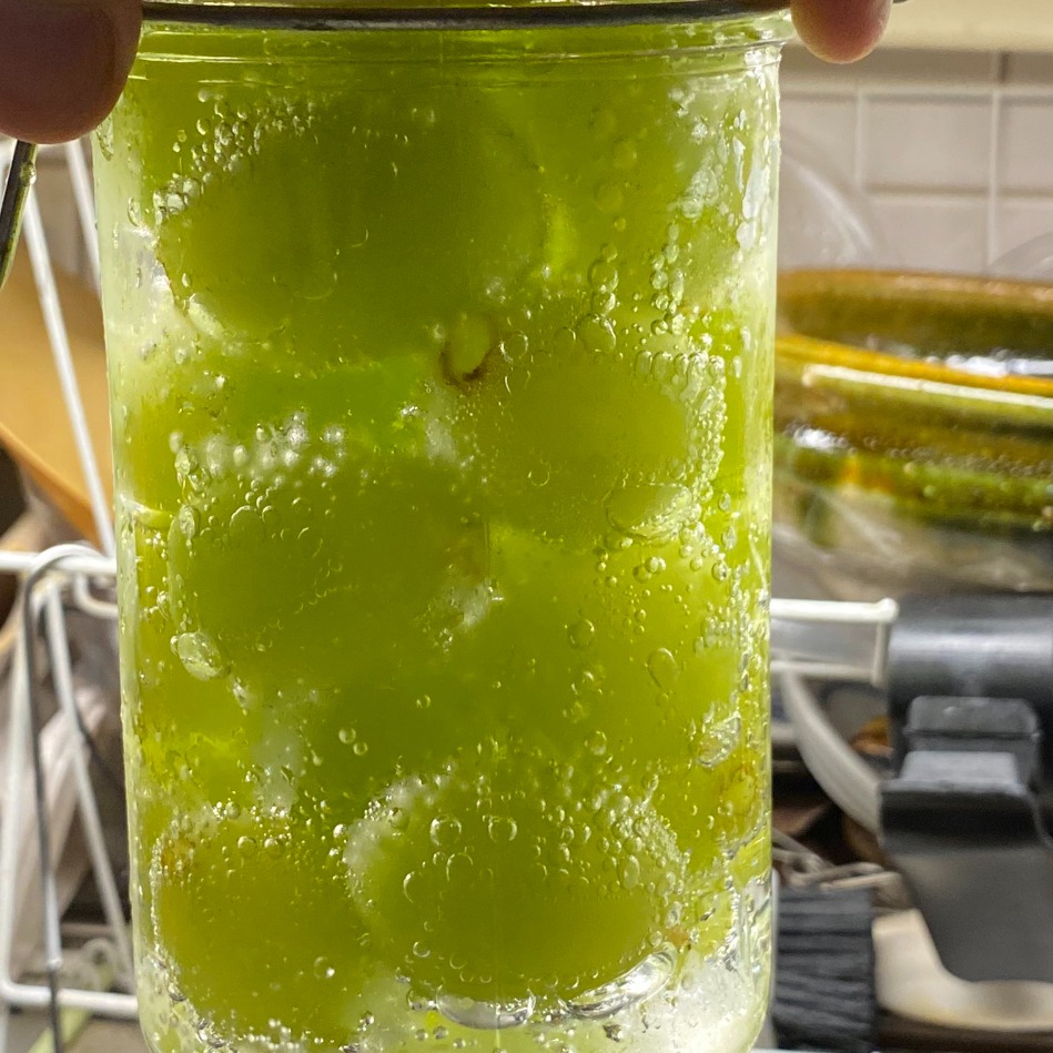 日本網友瘋傳麝香葡萄嶄新吃法！欲罷不能的美味竟然簡單到不行