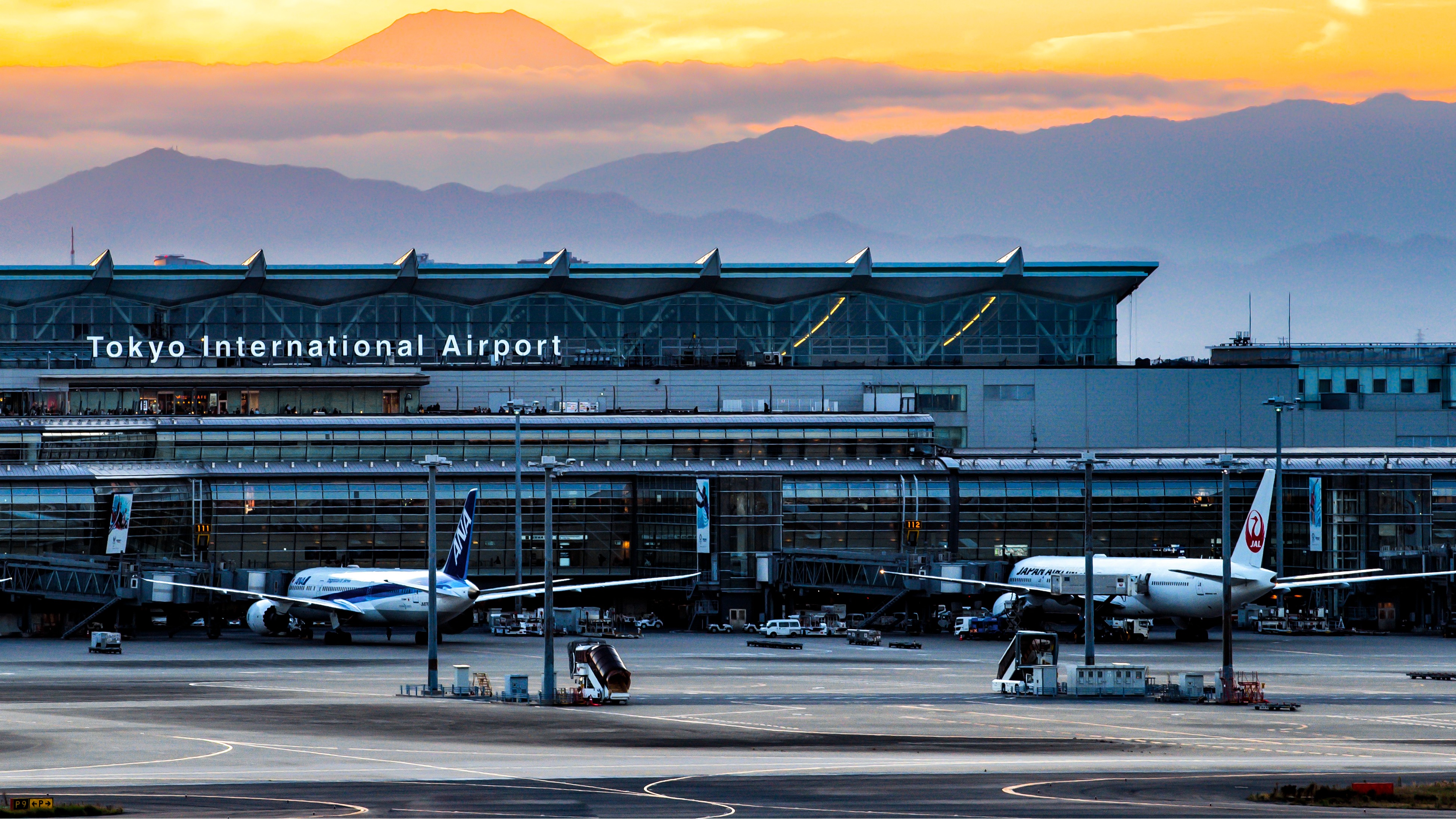 2025 羽田機場免稅店攻略：學會預購讓你少排隊又省錢！櫻花季訪日必看