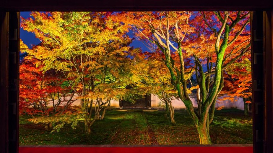 2023年迎接日本楓紅！京都人氣賞楓景點及期間限定活動一次掌握