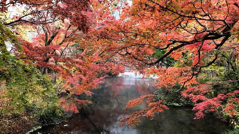 日本OL心中第一名的旅遊勝地！九州溫泉鄉由布院一日遊行程推薦| Japaholic