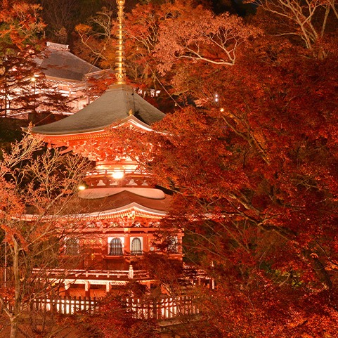 2025關西賞楓景點推薦20選,大阪、京都、奈良、兵庫紅葉攻略行程就看這一篇