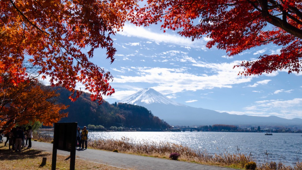 富士山秋季絕景3選！河口湖賞楓、山中湖散策夢幻一日遊