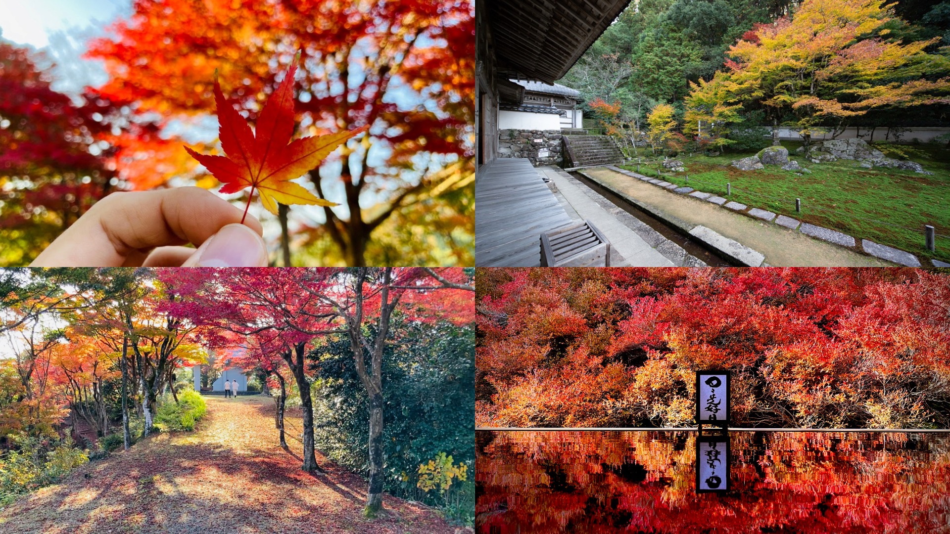 秋遊「城崎溫泉」這樣玩！ 必訪紅葉五大名勝 周遊卡解鎖但馬秋景