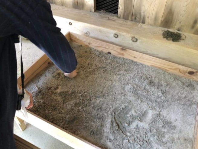 來島根縣出雲大社求庇護要挖砂？稻佐之濱取神砂求御守教學