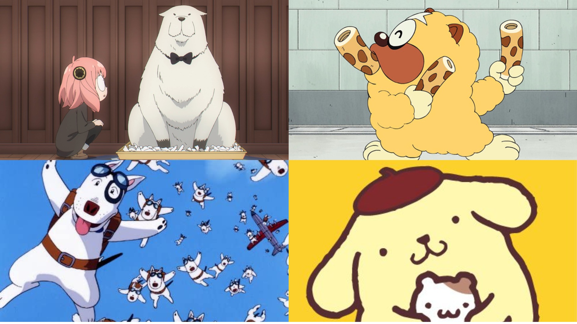 安妮亞的愛犬是哪種狗？你認得這些動畫狗狗的原型嗎