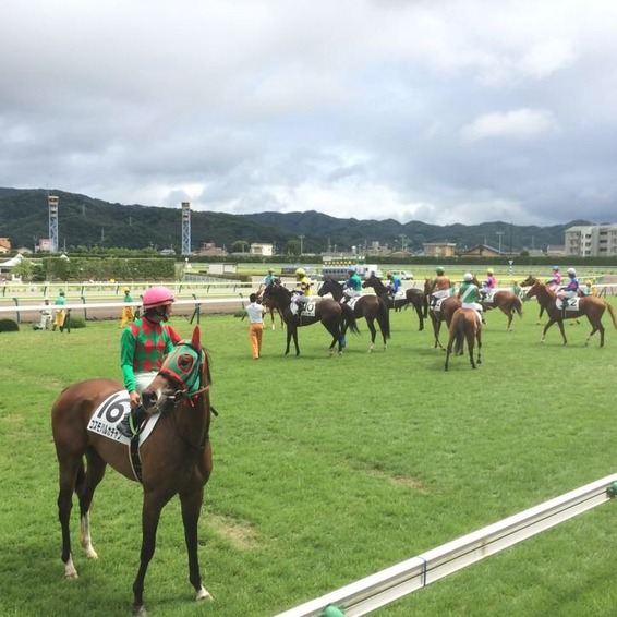 原來日本騎師禁止用手機？禁賽新聞意外引發推特上的新米賽馬迷討論