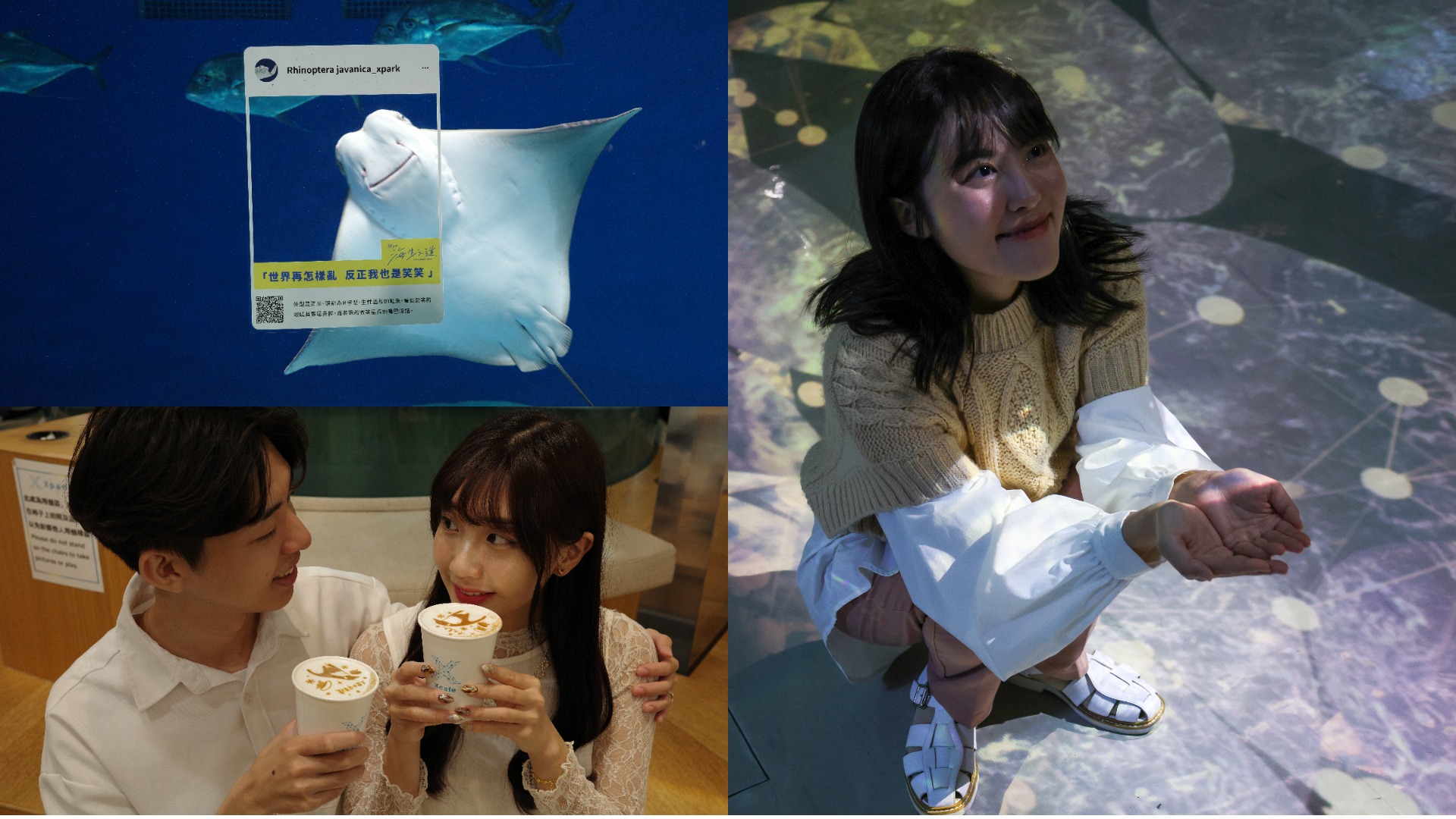 Xpark 12月浪漫又嗨森？365 種海生之道、冬の水族館戀愛物語繽紛亮點等你來體驗！