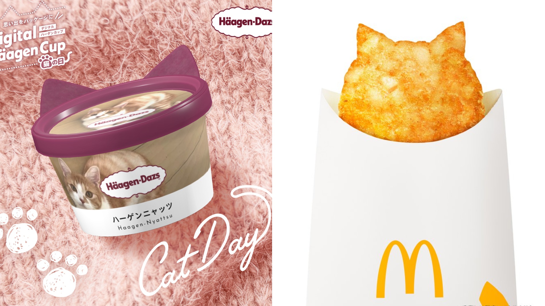 一年一度的日本貓之日再度來襲！各家日本公司各種貓咪迷因展示會萌翻網友