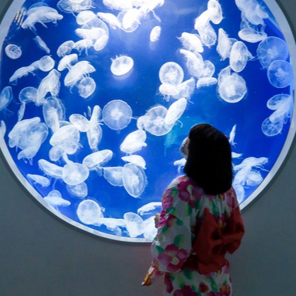 日本夏日祭典在台灣！璀璨花火秀、夏日祭典，穿著浴衣逛Xpark