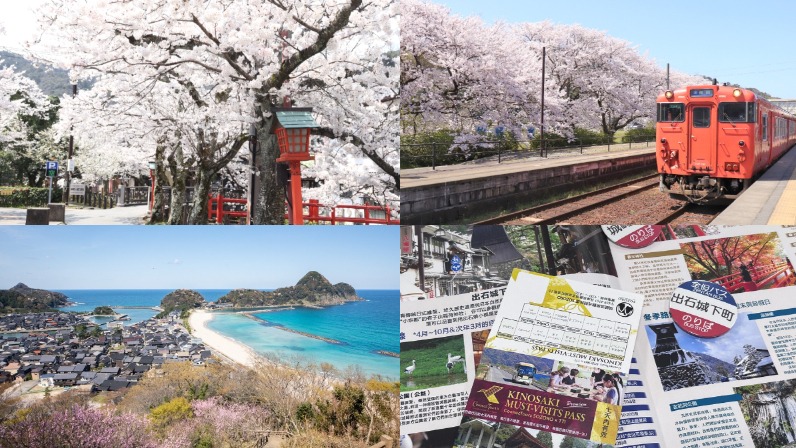 2025年春遊城崎溫泉 日本在地人推薦周邊5處私藏賞櫻秘境