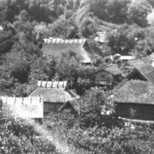 曾經溫柔的少年化身厲鬼？屠村殺人事件「津山事件」