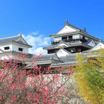 台灣遊客旅日平均提前近三個月開始預訂住宿?遊日回訪更深度、二線城市及地方特色景點旅遊比例增